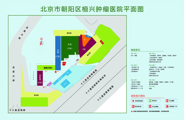 好操逼视频北京市朝阳区桓兴肿瘤医院平面图